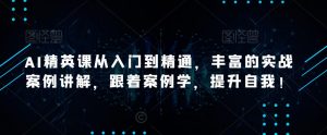AI精英课从入门到精通,丰富的实战案例讲解,跟着案例学,提升自我!-第一资源库