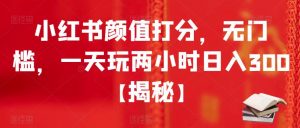 小红书颜值打分,无门槛,一天玩两小时日入300+【揭秘】-第一资源库