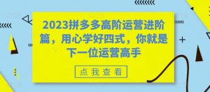 2023拼多多高阶运营进阶篇，用心学好四式，你就是下一位运营高手-第一资源库