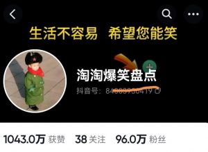 价值1000的搞笑盘点大V淘淘爆笑盘点详细课程+软件,中视频变现-第一资源库
