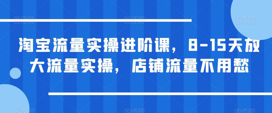淘宝流量实操进阶课,8-15天放大流量实操,店铺流量不用愁-第一资源库