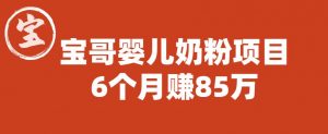 宝哥婴儿奶粉项目,6个月赚85w【图文非视频】【揭秘】-第一资源库