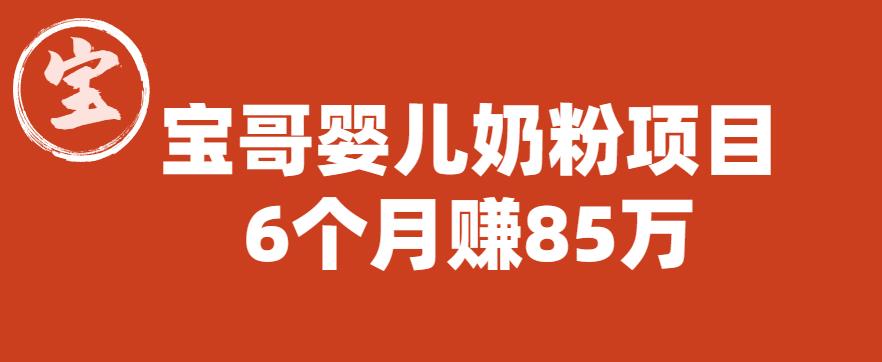 宝哥婴儿奶粉项目,6个月赚85w【图文非视频】【揭秘】-第一资源库