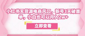 众狼电商余文小红书无货源电商风口,新号3天破首单,小白也可以月入2w+-第一资源库