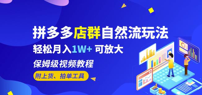 拼多多店群自然流玩法，轻松月入1W+保姆级视频教程（附上货、拍单工具）-第一资源库
