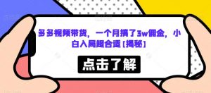 多多视频带货,一个月搞了3w佣金,小白入局超合适【揭秘】-第一资源库