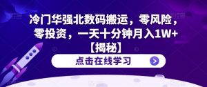 冷门华强北数码搬运,零风险,零投资,一天十分钟月入1W+【揭秘】-第一资源库