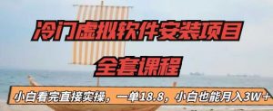 冷门虚拟软件安装项目,一单18.8,小白也能月入3W+【揭秘】-第一资源库