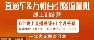 直通车&万相台引爆流量班，6天打通你开直通车·万相台的任督二脉-第一资源库
