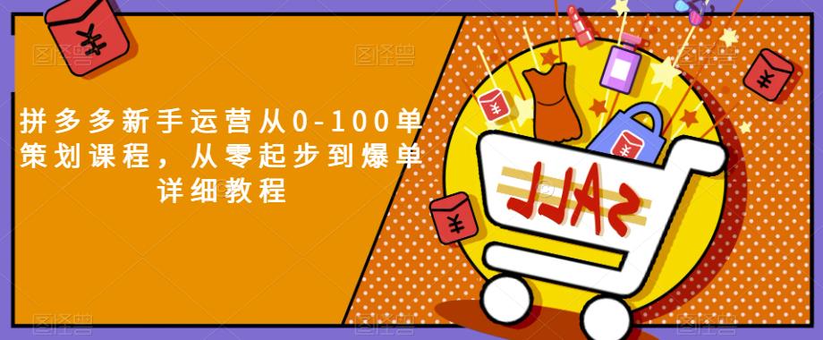 拼多多新手运营从0-100单策划课程,从零起步到爆单详细教程-第一资源库