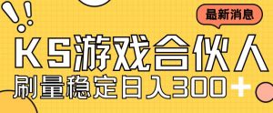 快手游戏合伙人新项目,新手小白也可日入300+,工作室可大量跑-第一资源库