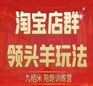 九栢米-淘宝店群领头羊玩法，教你整个淘宝店群领头羊玩法以及精细化/终极蓝海/尾销等内容-第一资源库