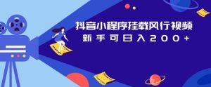 抖音小程序挂载风行视频,新手可日入200+-第一资源库