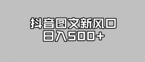 抖音图文最新风口，流量扶持非常高，日入500+【揭秘】-第一资源库