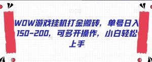 WOW游戏挂机打金搬砖，单号日入150-200，可多开操作，小白轻松上手【揭秘】-第一资源库