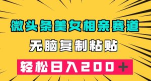 微头条冷门美女相亲赛道,无脑复制粘贴,轻松日入200+【揭秘】-第一资源库
