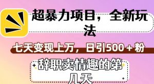 超暴利项目,全新玩法(辞职卖情趣的第几天),七天变现上万,日引500+粉【揭秘】-第一资源库