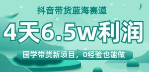抖音带货蓝海赛道,国学带货新项目,0经验也能做,4天6.5w利润【揭秘】-第一资源库