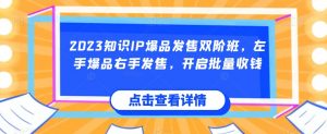 2023知识IP爆品发售双阶班，左手爆品右手发售，开启批量收钱-第一资源库