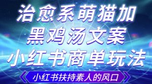 治愈系萌猫加+黑鸡汤文案,小红书商单玩法,3~10天涨到1000粉,一单200左右-第一资源库
