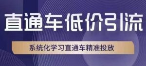 直通车低价引流课，系统化学习直通车精准投放-第一资源库