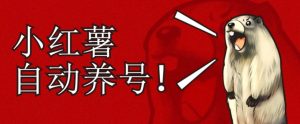 小红书养号秘籍,如何自动涨粉清晰系统标签打造高权重账号【揭秘】-第一资源库