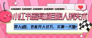 小红书蓝海项目路人消失术，帮人p图，也能月入过万，实测一天300+【揭秘】-第一资源库