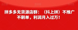 拼多多无货源店群：（抖上拼）不推广不刷单，利润月入过万！【揭秘】-第一资源库
