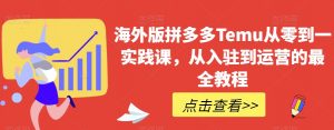 海外版拼多多Temu从零到一实践课，从入驻到运营的最全教程-第一资源库