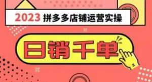 2023拼多多运营实操,每天30分钟日销1000+,爆款选品技巧大全(10节课)-第一资源库
