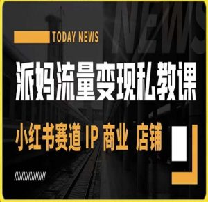 派妈流量变现私教课,小红书赛道IP 商业 店铺 -第一资源库