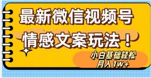 微信视频号情感文案最新玩法，小白轻松月入1万+无脑搬运【揭秘】-第一资源库