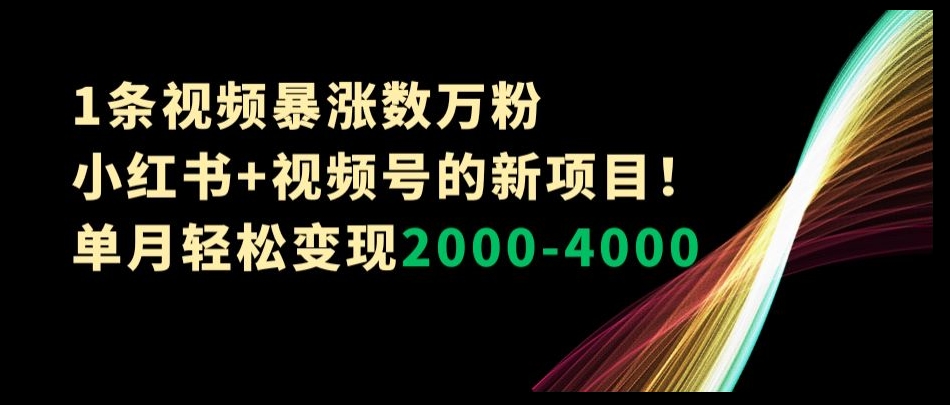 1条视频暴涨数万粉–小红书+视频号的新项目!单月轻松变现2000-4000【揭秘】-第一资源库