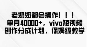 老奶奶都会操作，新平台无脑操作，单月40000+，vivo短视频创作分成计划【揭秘】-第一资源库