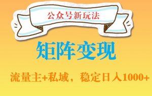 公众号软件玩法私域引流网盘拉新，多种变现，稳定日入1000【揭秘】-第一资源库