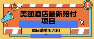 美团酒店最新赔付项目，单日薅羊毛700+【仅揭秘】-第一资源库