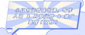 小红书运营成长课，写作入门&内容运营&接广变现【文档】-第一资源库