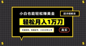谷歌看广告撸美金2.0,无脑挂机,多号操作,月入1万刀【揭秘】-第一资源库