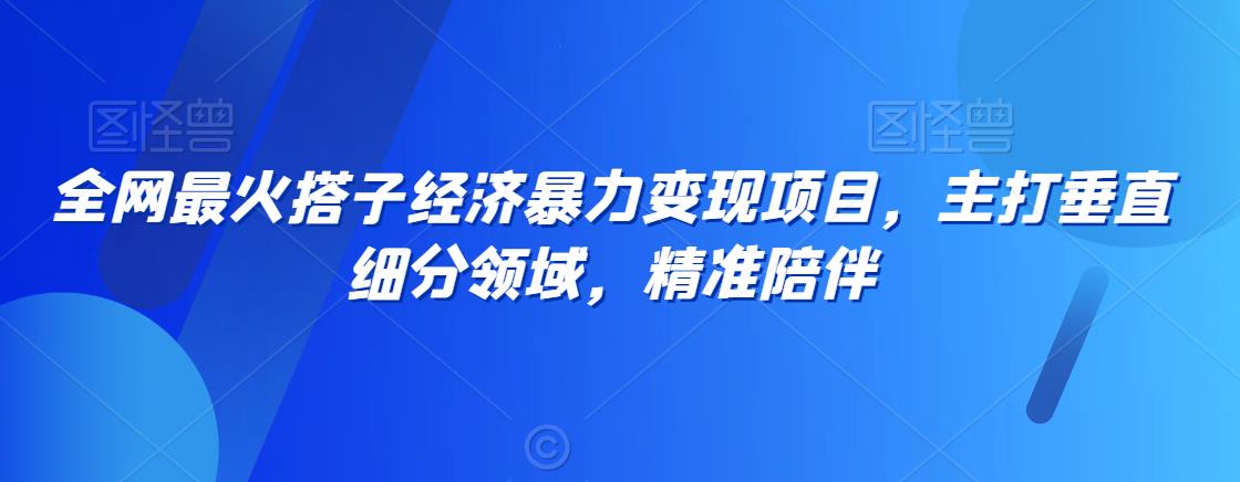 全网最火搭子经济暴力变现项目,主打垂直细分领域,精准陪伴【揭秘】-第一资源库