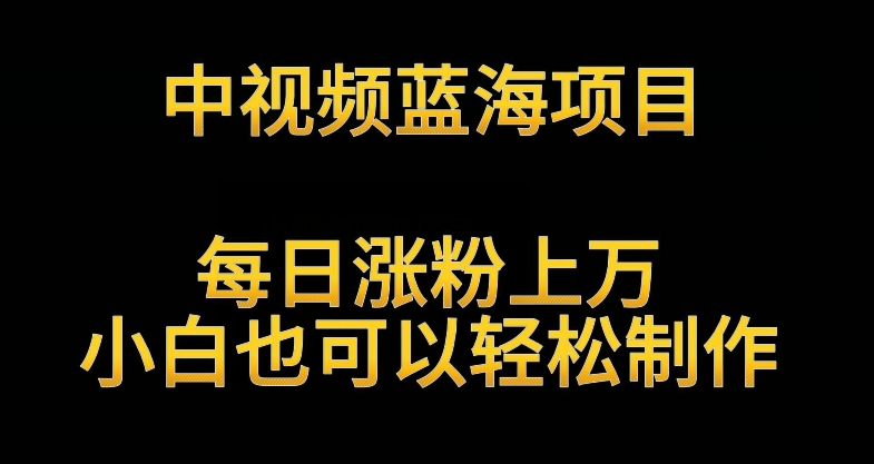 中视频蓝海项目,解读英雄人物生平,每日涨粉上万,小白也可以轻松制作,月入过万不是梦【揭秘】-第一资源库