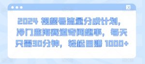 2024视频号流量分成计划,冷门监海赛道奇闻趣事,每天只需30分钟,轻松目赚 1000+【揭秘】-第一资源库