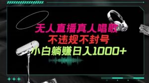 抖音24小时无人直播音乐,不违规,不封号纯撸音浪,小白实操当天日入1000+【揭秘】-第一资源库