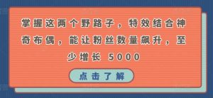 掌握这两个野路子，特效结合神奇布偶，能让粉丝数量飙升，至少增长 5000【揭秘】-第一资源库