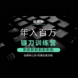 自媒体年入百万镰刀训练营,割割割割割割割割,自媒体心法+实操全套流程-第一资源库