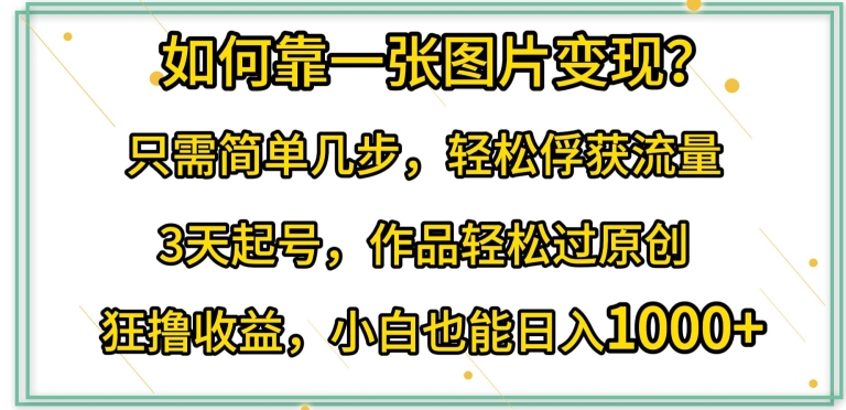 如何靠一张图片变现?只需简单几步,轻松俘获流量,3天起号,作品轻松过原创【揭秘】-第一资源库