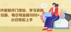 抖音贼冷门项目，学习资料拉新，每日收益超1000+，小白轻松上手【揭秘】-第一资源库