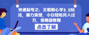 快速起号之：王明阳心学3.0玩法，暴力变现，小白轻松月入过万，保姆级教程【揭秘】-第一资源库