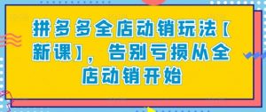 拼多多全店动销玩法【新课】,告别亏损从全店动销开始-第一资源库