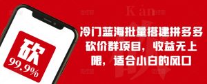 冷门蓝海批量搭建拼多多砍价群项目,收益无上限,适合小白的风口【揭秘】-第一资源库