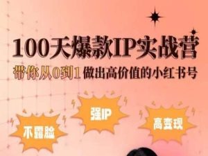 小红书100天爆款IP实战营,带你从0到1做出高价值的小红书号-第一资源库